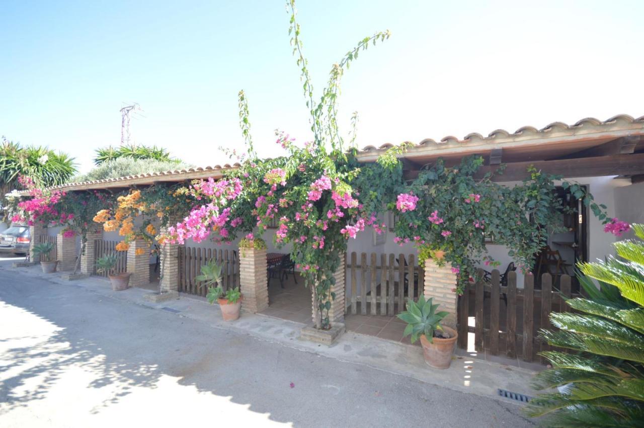 Estudios Con Piscina Compartida En Conil. Cadiz Luaran gambar